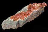 Ruby Red Vanadinite Crystal Plate - Morocco #82368-2